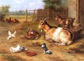 A farmyard Scene With Goats Chickens Doves poultry livestock barn Edgar Hunt